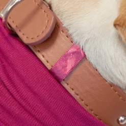 Suitical Dog Recovery Suit -Garden Supplies Sales 2024 007213 76041.1612306875