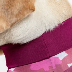 Suitical Dog Recovery Suit -Garden Supplies Sales 2024 007214 62613.1612306872