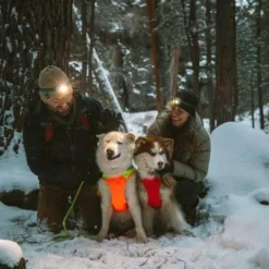 Ruffwear Lumenglow High-Vis Dog Jacket, Blaze Orange -Garden Supplies Sales 2024 0577 Lumenglow Caves WEB 84 640x 57279.1635030388