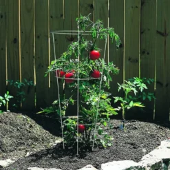 Glamos Tomato Cage, 12" X 33" 8 Glamos Tomato Cage, 12" X 33" -Garden Supplies Sales 2024 09928120 59929.1649365856