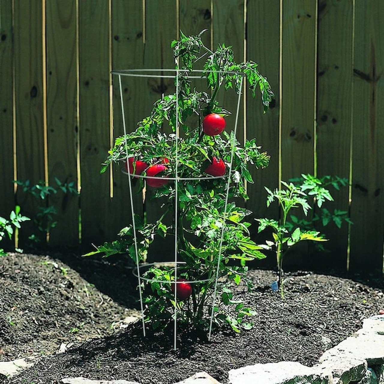 Glamos Tomato Cage, 12" X 33" 5 Glamos Tomato Cage, 12" X 33" - Image 3
