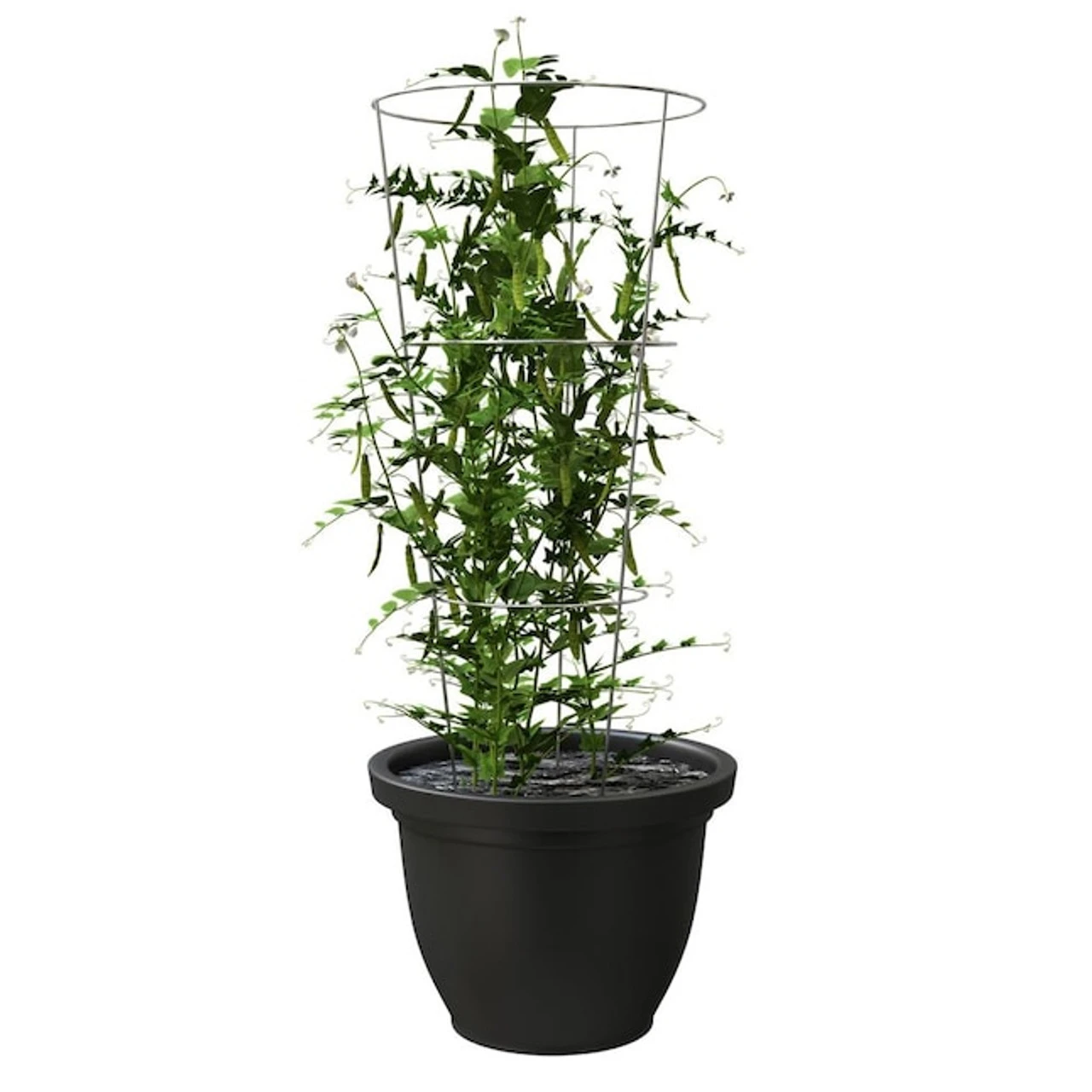 Glamos Tomato Cage, 12" X 33" 6 Glamos Tomato Cage, 12" X 33" - Image 4