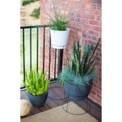 Glamos Plant Support, 12" X 42" 10 Glamos Plant Support, 12" X 42" -Garden Supplies Sales 2024 15620304 66620.1649367442