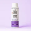 Skout's Honor Probiotic Shampoo For Dogs & Cats, Lavender, 16oz -Garden Supplies Sales 2024 16oz Shampoo LAV 1 adb9cbe9 0856 41c5 ba63 d2d37cb1d423 1800x1800 14432.1656093270