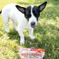 Loving Pet Delilicious Beef & Cheddar Treats, 6oz 6 Loving Pet Delilicious Beef & Cheddar Treats, 6oz -Garden Supplies Sales 2024 20210314 DSC 0810 85656.1620227717 63784.1628443823