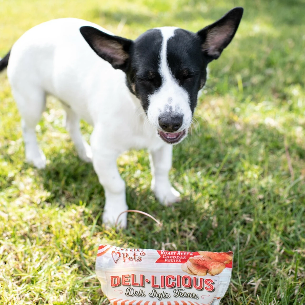 Loving Pet Delilicious Beef & Cheddar Treats, 6oz 4 Loving Pet Delilicious Beef & Cheddar Treats, 6oz - Image 2