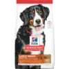 Science Diet Adult Large Breed Lamb & Brown Rice, 33lb -Garden Supplies Sales 2024 2038 48524.1620950965