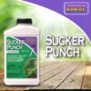 Bonide Ready To Use Sucker Punch -Garden Supplies Sales 2024 276G Sucker Punch 23563.1644025743