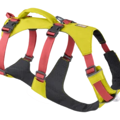 Ruffwear Flagline Dog Harness With Handle, Lichen Green