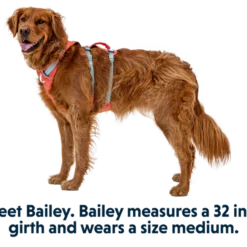 Ruffwear Flagline Dog Harness With Handle, Salmon Pink -Garden Supplies Sales 2024 30551 Flagline Harness Salmon Pink BAILEY Medium 8fc4fcbc 2921 4146 acc7 370bb2887c3a 820x550 31603.1670718391