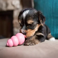 Kong Puppy Blue Or Pink, Small -Garden Supplies Sales 2024 35585131450 6 20190322154216 20190322154226 1000x1000 34963.1614476419
