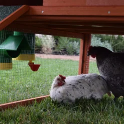 Rugged Ranch Poultry Feed 8 Rugged Ranch Poultry Feed -Garden Supplies Sales 2024 4 4 81405.1650922191