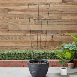 Glamos Heavy Plant Support, 18" X 54" -Garden Supplies Sales 2024 40641078 19791.1649365402