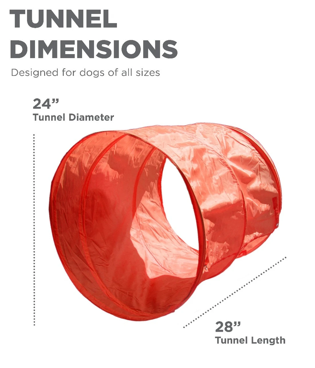 Outward Hound ZipZoom Beginner Dog Agility Training Obstacle 5 Outward Hound ZipZoom Beginner Dog Agility Training Obstacle - Image 3