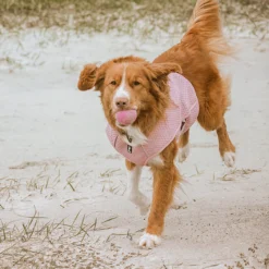 Hurtta Cooling Wrap Pink 10 Hurtta Cooling Wrap Pink -Garden Supplies Sales 2024 4419a0 49cf4ceb1f984535abe2c377118dd2c7mv2 76028.1623461818