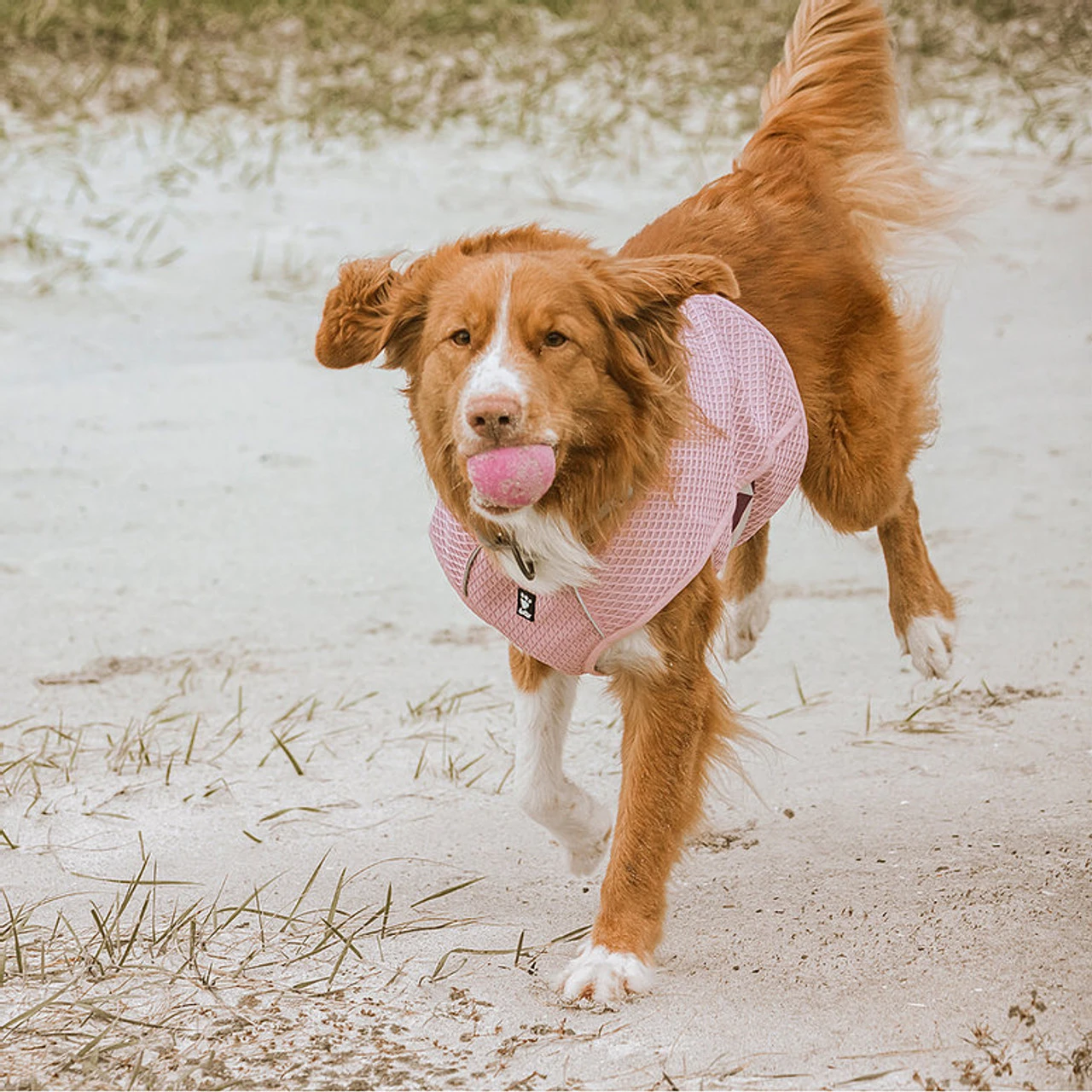 Hurtta Cooling Wrap Pink 6 Hurtta Cooling Wrap Pink - Image 4