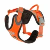 Hurtta Weekend Warrior Harness Orange -Garden Supplies Sales 2024 4419a0 95d419d76d4743fb81bd283ac713b07emv2 d 1500 1500 s 2 58592.1623441375