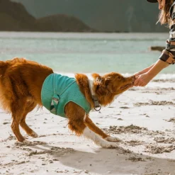 Hurtta Cooling Wrap Aqua -Garden Supplies Sales 2024 4419a0 a3b39366f91b40d0b2e2c9e5c4f2ba9emv2 18222.1623460700