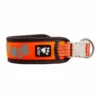 Hurtta Weekend Warrior Collar Orange -Garden Supplies Sales 2024 4419a0 db83a6301f244143977917baddfc6b56mv2 d 1500 1500 s 2 47391.1623456204