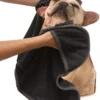 Ethical Pet 30x16 Clean Paws Towel Assorted -Garden Supplies Sales 2024 50069 drying towel dog 712x1024 63973.1618612627
