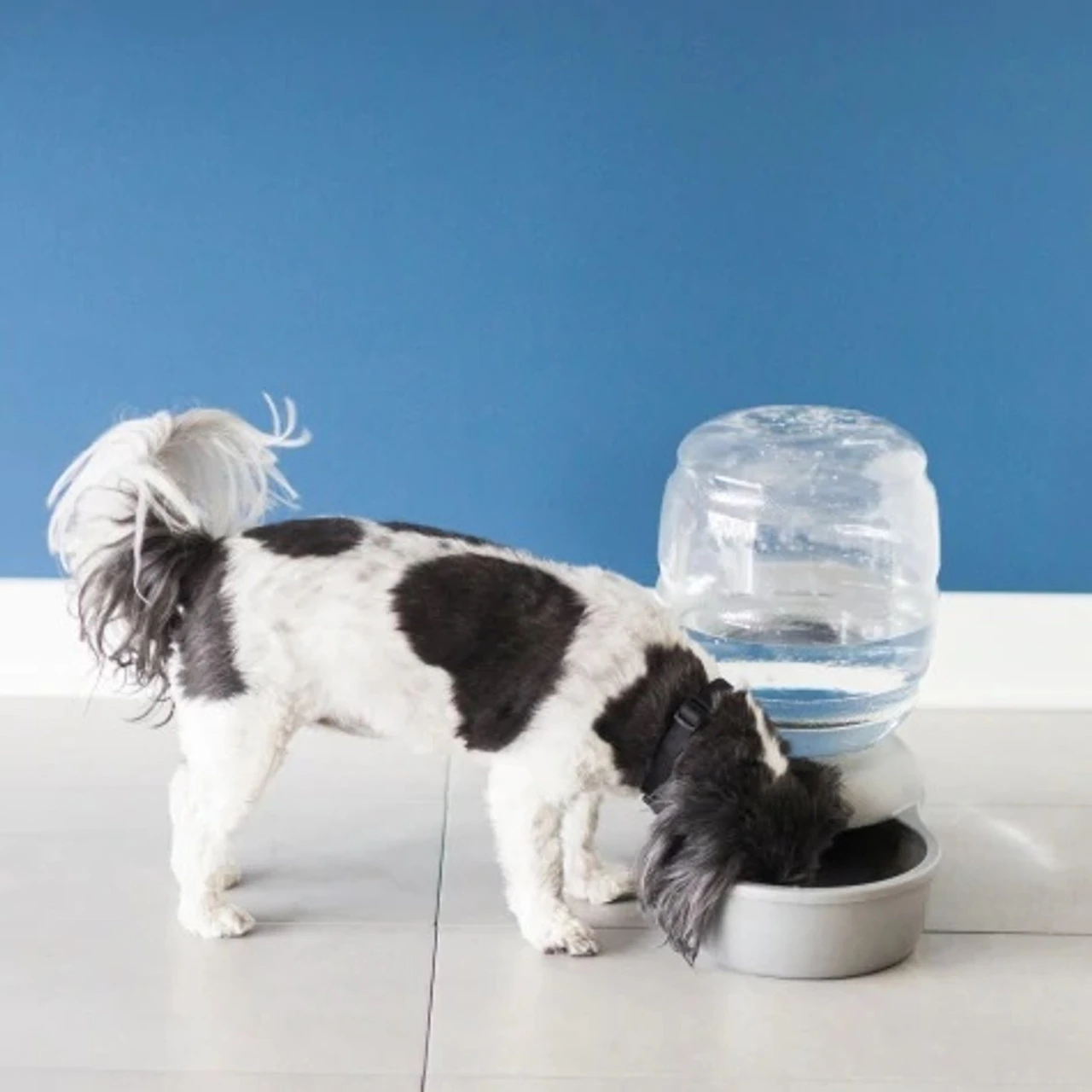 Petmate Replendish Waterer With Microban 5 Petmate Replendish Waterer With Microban - Image 3