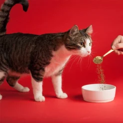 Missing Link Original Vegetarian Skin & Coat Supplement, 1lb -Garden Supplies Sales 2024 509070153 75179.1613151372