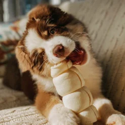 Redbarn Beef Cheek Roll Dog Chew -Garden Supplies Sales 2024 51825541 3 68315.1606622929