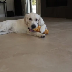 Redbarn Beef Cheek Rolls Glazed With Chicken And Carrots 7 Redbarn Beef Cheek Rolls Glazed With Chicken And Carrots -Garden Supplies Sales 2024 51825549 2 63423.1606622934