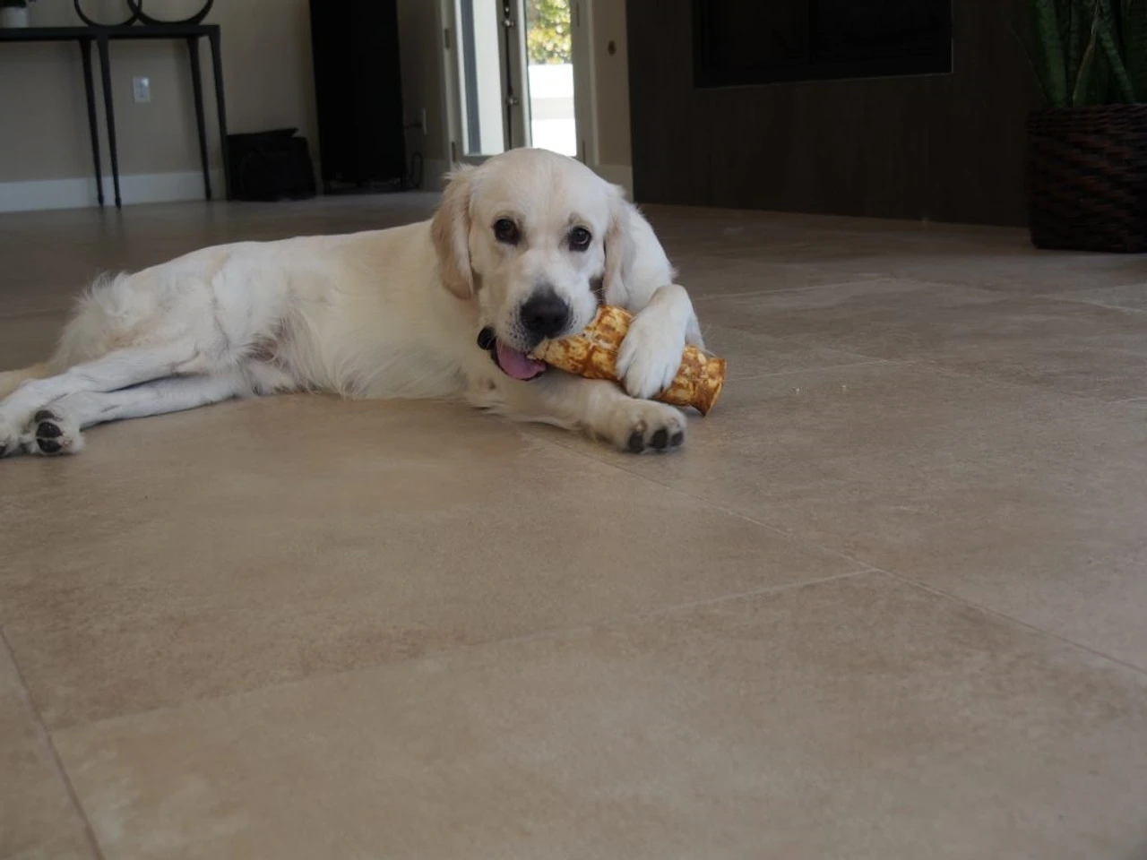 Redbarn Beef Cheek Rolls Glazed With Chicken And Carrots 5 Redbarn Beef Cheek Rolls Glazed With Chicken And Carrots - Image 3