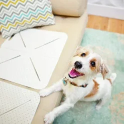 Mammoth X-Mat Pet Training Mat Dog & Cat -Garden Supplies Sales 2024 51Cf 75kEnL. AC SL1000 14433.1614117490