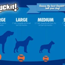 Chuckit! Chuckit Tennis Balls 2pc Small -Garden Supplies Sales 2024 51OADI vhWL. AC SL1000 42709.1616184058