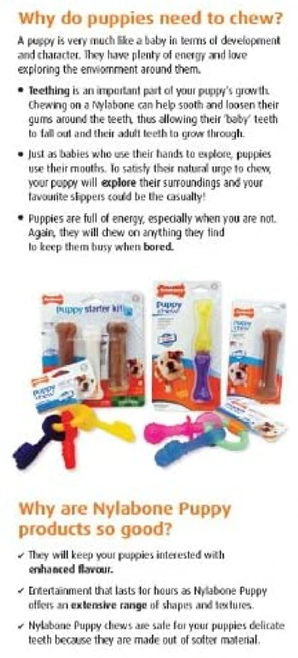 Nylabone Puppy Teething Rings 7 Nylabone Puppy Teething Rings - Image 5