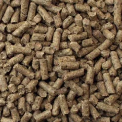 Mazuri Mini Pig Active Adult, 25lb -Garden Supplies Sales 2024 5Z91 375x500 01fff2aa 7b1a 4188 9963 67ce95de1d77 28143.1678923874