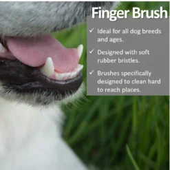 Vet Worthy 2 PC Pet Fingerbrush -Garden Supplies Sales 2024 61nkHRfC56L. AC SL1194 57994.1650668182