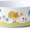 Petrageous Early Bird Bowl, 5 Inch