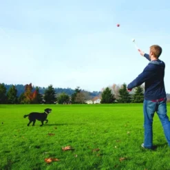 Chuckit! Junior Launcher Fetch Toy 11 Chuckit! Junior Launcher Fetch Toy -Garden Supplies Sales 2024 61z pVftGCL. AC SL1000 53563.1614022422