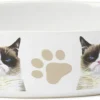 Petrageous Grumpy Cat That Was Terrible Bowl, 2 Cup -Garden Supplies Sales 2024 7194EDk2BxwL. AC SL1500 41626.1626711512