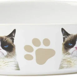 Petrageous Grumpy Cat That Was Terrible Bowl, 2 Cup