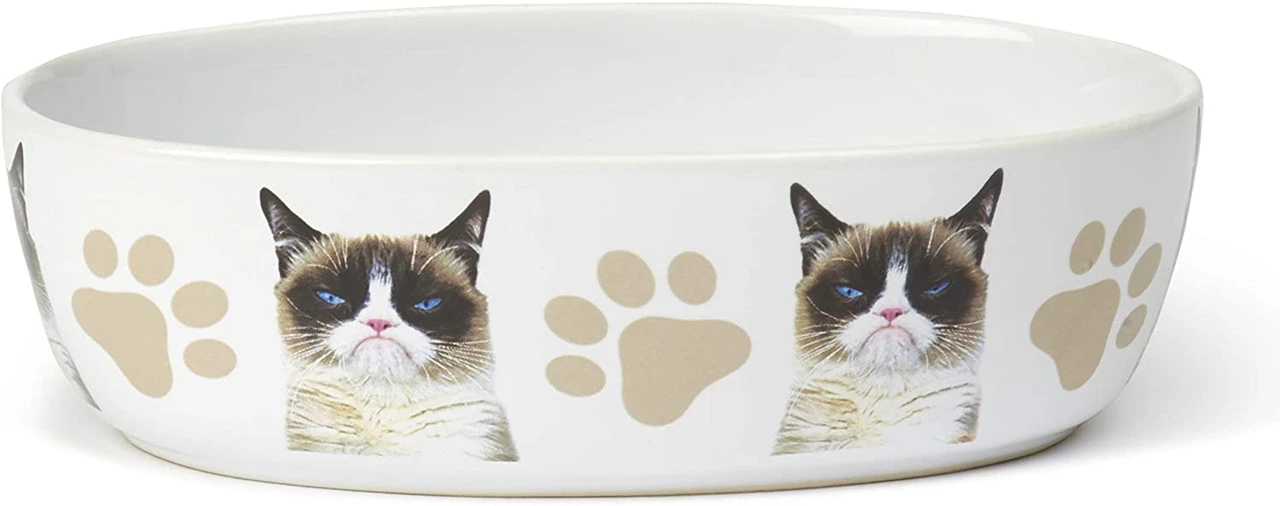 Petrageous Grumpy Cat That Was Terrible Bowl, 2 Cup 3 Petrageous Grumpy Cat That Was Terrible Bowl, 2 Cup