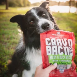 Stella And Chewy's 8.25oz Carv'n Bacon Duck Bites -Garden Supplies Sales 2024 71G WYXcHOL. AC SL1414 69577.1634339047