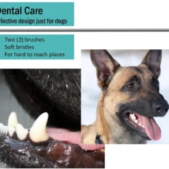 Vet Worthy 2 PC Pet Fingerbrush -Garden Supplies Sales 2024 71Of9BtxczL. AC SL1163 62073.1650668182