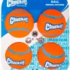 Chuckit! Chuckit Tennis Ball Medium, 4pk -Garden Supplies Sales 2024 71X6K1aMi L. AC SL1200 69821.1615685735