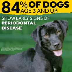 Tropiclean Fresh Breath Oral Care Foam, 4.50 Oz -Garden Supplies Sales 2024 71q4tusQqXL. AC SL1500 84004.1649958423