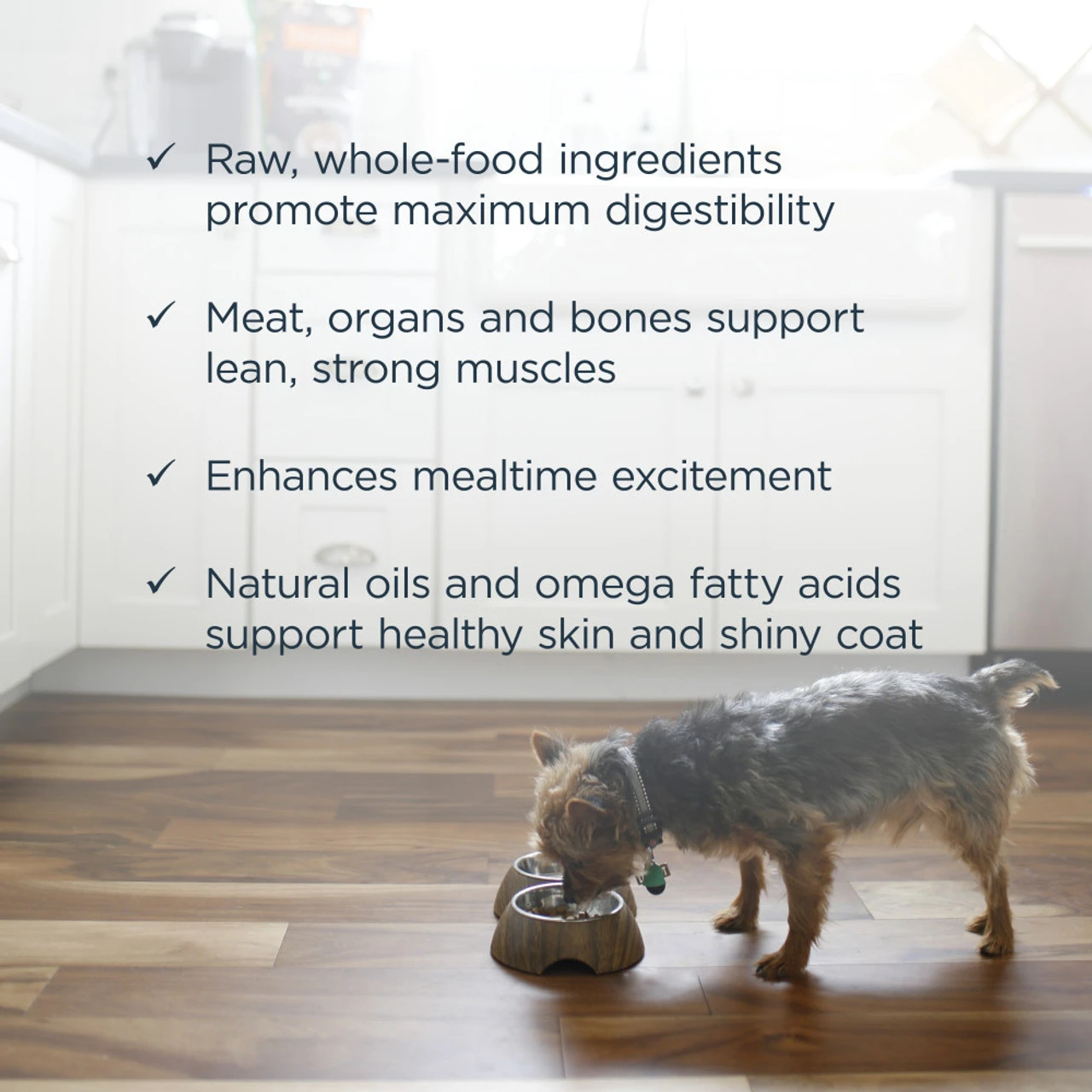 Nature's Variety Instinct Raw Bites Cage Free Chicken, 3lb 7 Nature's Variety Instinct Raw Bites Cage Free Chicken, 3lb - Image 5