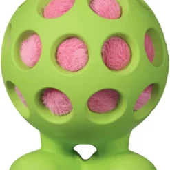 JW Hol-ee Cuz Squeaky Dog Toy
