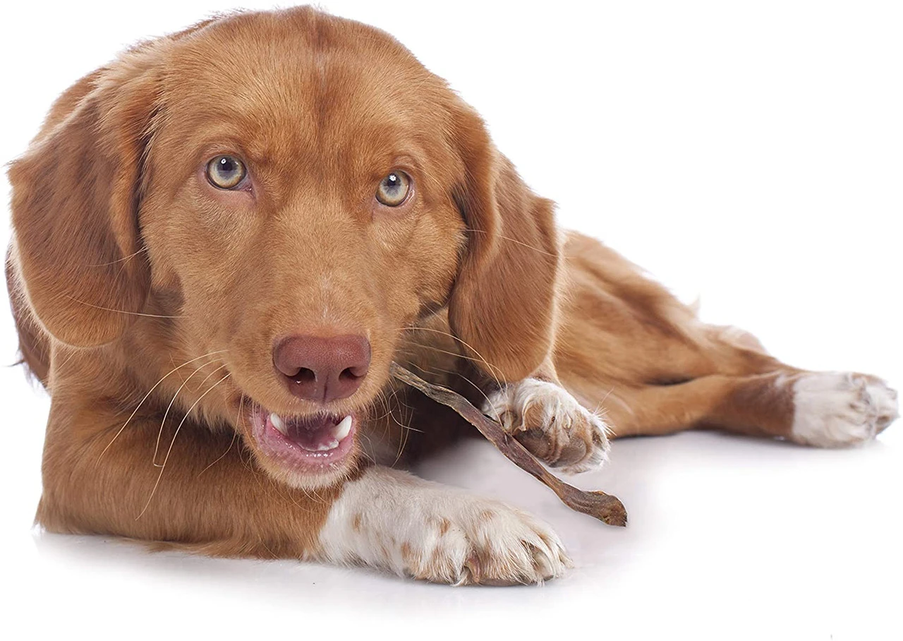 Cadet Butcher Piggy Stick Treat, 6oz 7 Cadet Butcher Piggy Stick Treat, 6oz - Image 5