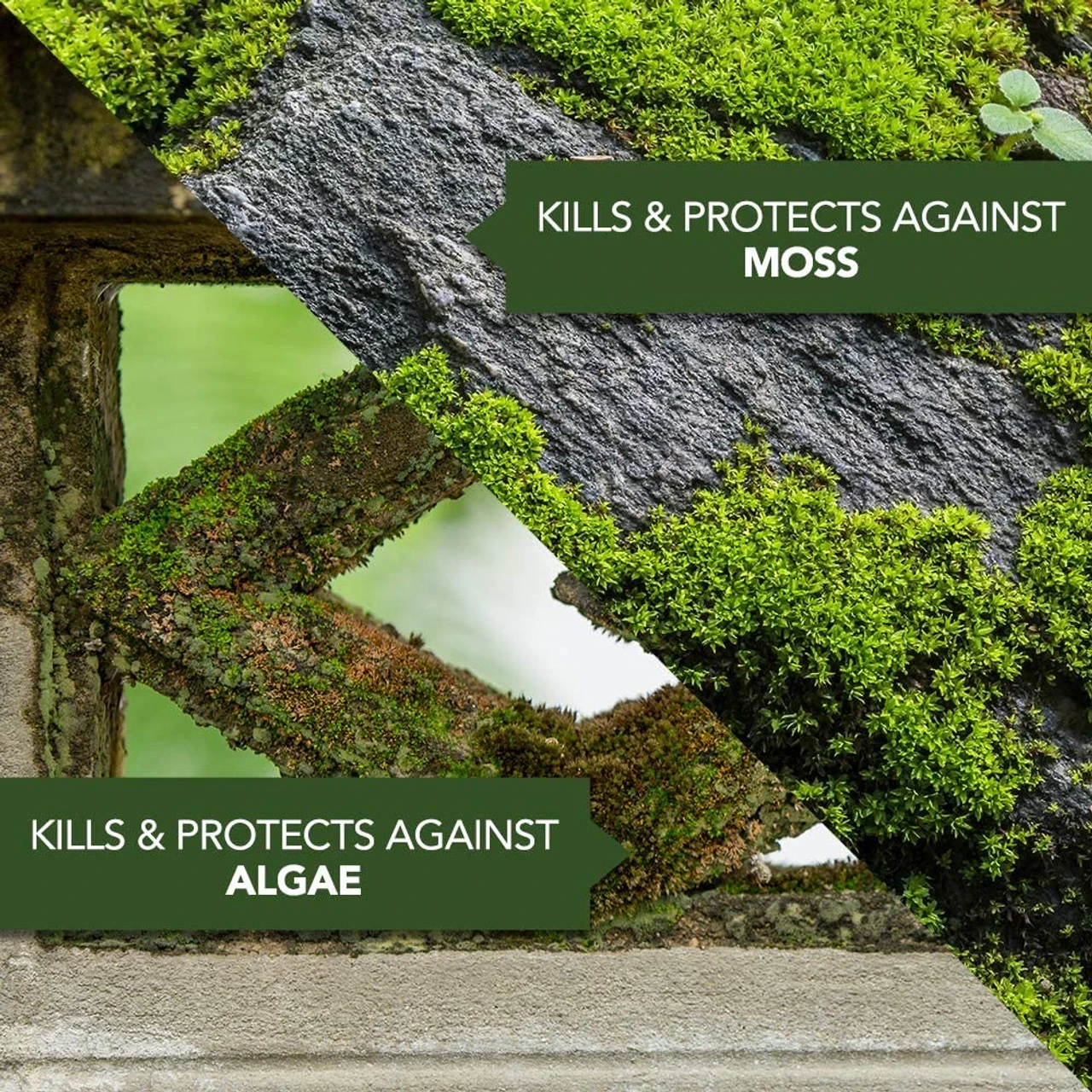 Bayer Moss & Algae, 32oz 4 Bayer Moss & Algae, 32oz - Image 2