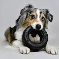 Mammoth Tirebiter II Natural Rubber Chew Toy -Garden Supplies Sales 2024 814dtYLet8L. AC SL1500 30723.1614119023