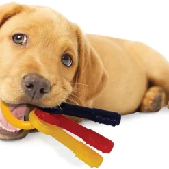 Nylabone Puppy Teething Keys, Small -Garden Supplies Sales 2024 81DLe3QrWJL. AC SL1500 97859.1614976364