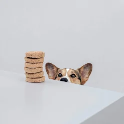 Stella And Chewy's Surf N Turf Dinner Patties -Garden Supplies Sales 2024 81KTjbsUvcL. AC SL1500 07306.1654703475